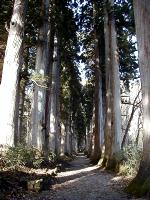 マウスクリックで拡大/縮小します