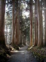 マウスクリックで拡大/縮小します