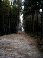 マウスクリックで拡大/縮小します