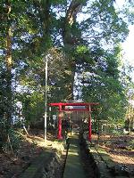 マウスクリックで拡大/縮小します