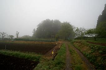 マウスクリックで拡大/縮小します