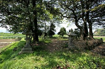 マウスクリックで拡大/縮小します