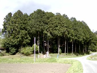 マウスクリックで拡大/縮小します