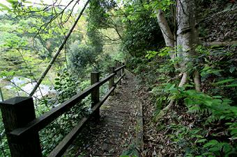 マウスクリックで拡大/縮小します