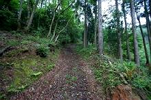 マウスクリックで拡大/縮小します