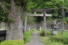 マウスクリックで拡大/縮小します