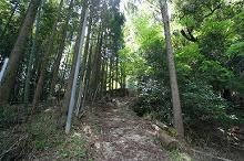 マウスクリックで拡大/縮小します