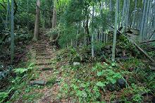 マウスクリックで拡大/縮小します