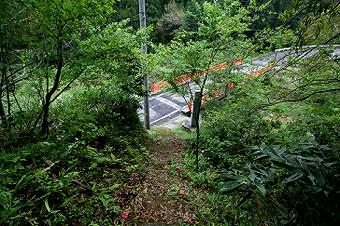 マウスクリックで拡大/縮小します