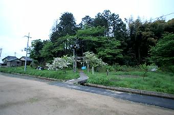 マウスクリックで拡大/縮小します