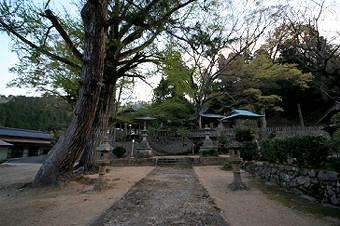 マウスクリックで拡大/縮小します