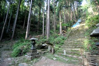 マウスクリックで拡大/縮小します