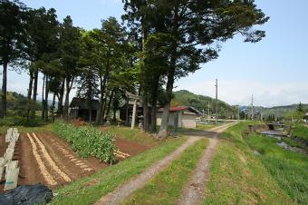 マウスクリックで拡大/縮小します