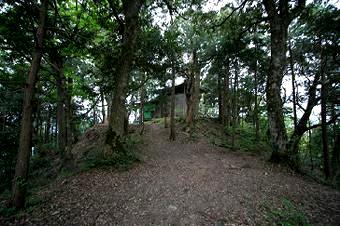 マウスクリックで拡大/縮小します