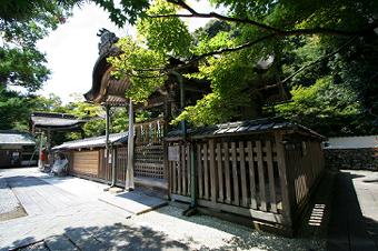 マウスクリックで拡大/縮小します