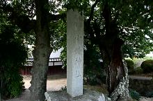 マウスクリックで拡大/縮小します