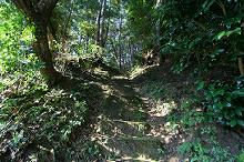 マウスクリックで拡大/縮小します