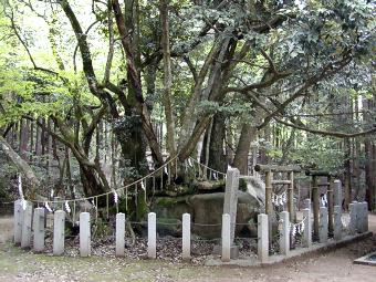 マウスクリックで拡大/縮小します