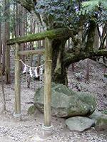 マウスクリックで拡大/縮小します