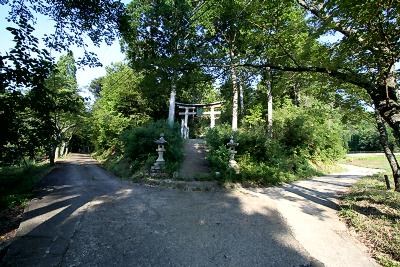 マウスクリックで拡大/縮小します