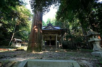 マウスクリックで拡大/縮小します