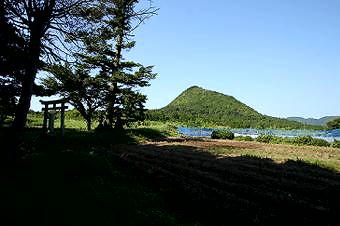 マウスクリックで拡大/縮小します