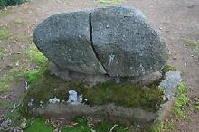 マウスクリックで拡大/縮小します