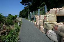 マウスクリックで拡大/縮小します