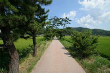 マウスクリックで拡大/縮小します