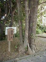 マウスクリックで拡大/縮小します