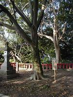 マウスクリックで拡大/縮小します