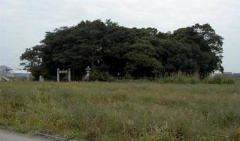 マウスクリックで拡大/縮小します