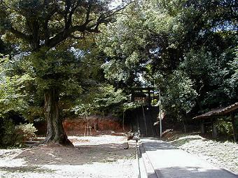 マウスクリックで拡大/縮小します