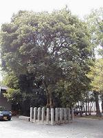 マウスクリックで拡大/縮小します