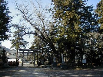 マウスクリックで拡大/縮小します