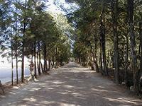 マウスクリックで拡大/縮小します