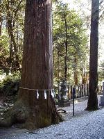 マウスクリックで拡大/縮小します