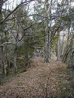 マウスクリックで拡大/縮小します