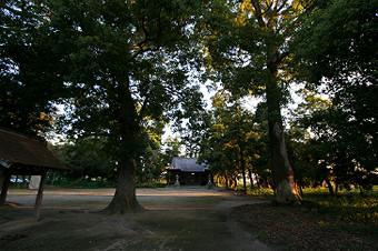 マウスクリックで拡大/縮小します