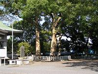 マウスクリックで拡大/縮小します