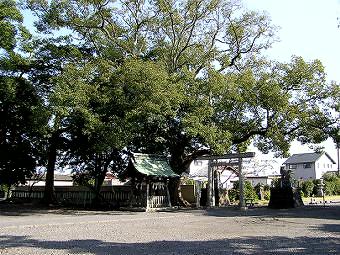 マウスクリックで拡大/縮小します