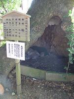 マウスクリックで拡大/縮小します