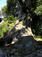 マウスクリックで拡大/縮小します