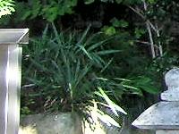 マウスクリックで拡大/縮小します