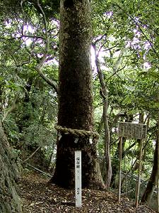 マウスクリックで拡大/縮小します