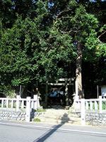 マウスクリックで拡大/縮小します