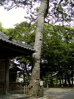 マウスクリックで拡大/縮小します