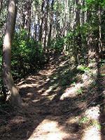 マウスクリックで拡大/縮小します