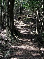 マウスクリックで拡大/縮小します