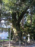 マウスクリックで拡大/縮小します